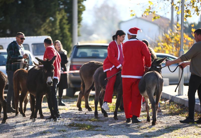 FOTO | Jozo i magarac Eustahije i ove godine pobjednici božićne utrke
